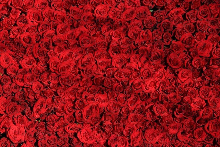 Bed or Red Roses - Jéanpaul Ferro Bed or Red Roses - Jéanpaul Ferro