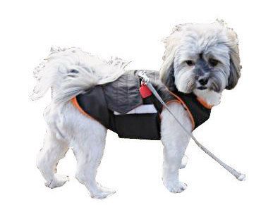 Shih Tzu Exra Warm Winter Dog Coat Dog Jacket By Pepperpetwear