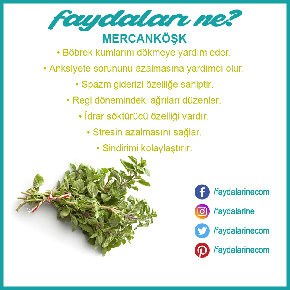 # mercanköşk #mercankosk