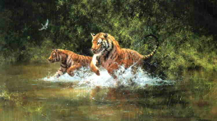 New Aug 2012 Tiger Print Open Edition /'Indian Summer/'