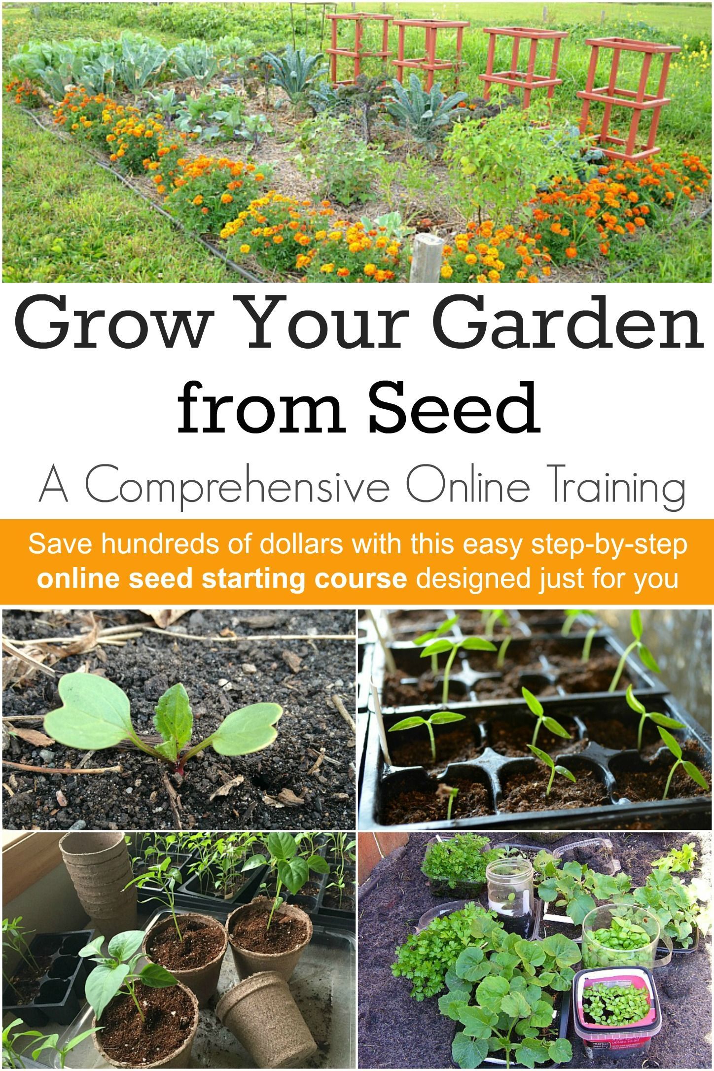 Online Seed Starting Course Learn How To Grow Seeds In This