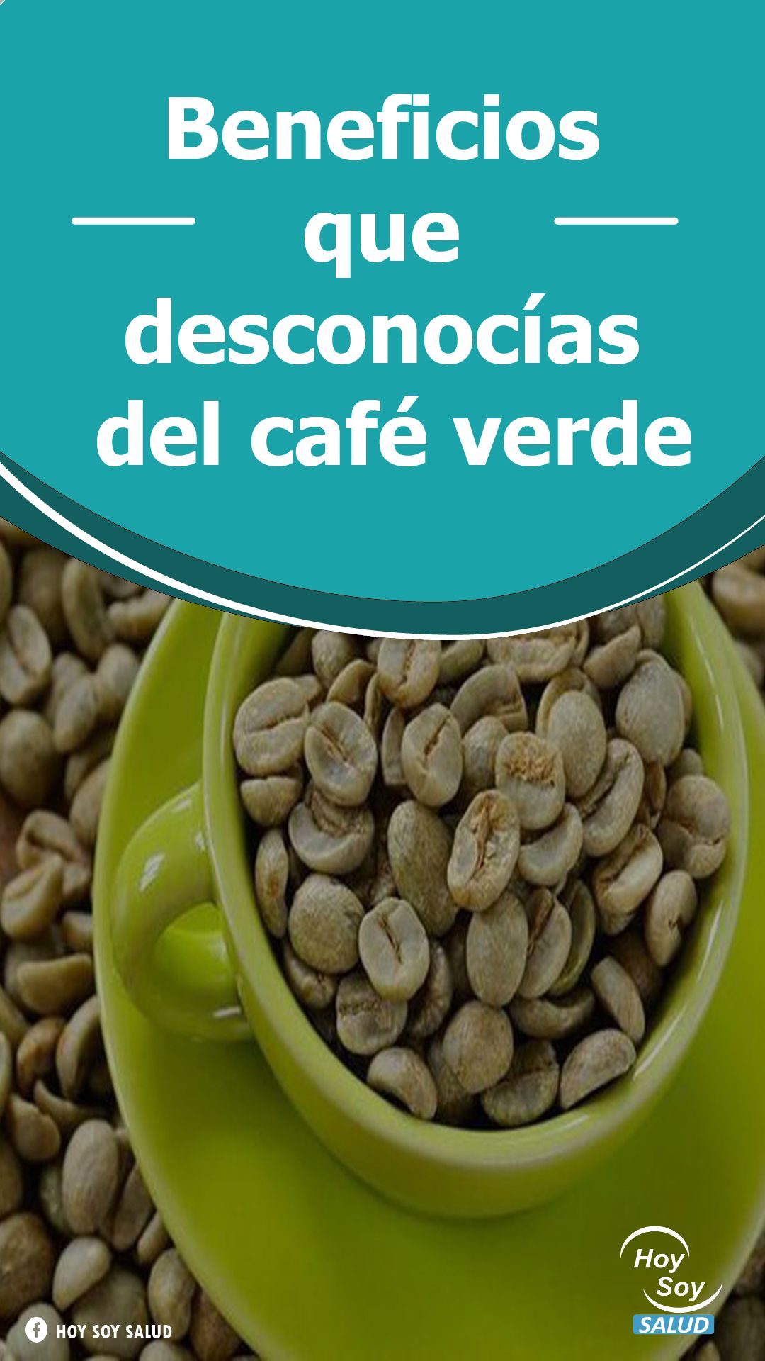 propiedades del te de cafe verde propiedades del te de cafe verde