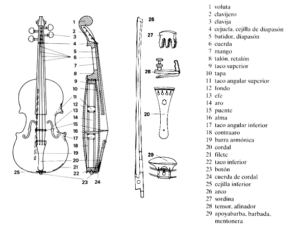 El Violín Y Sus Partes Violines Violonchelo Tocando Violin