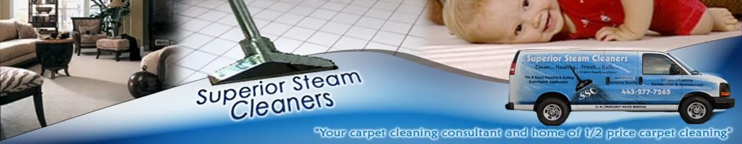 Homeowners can opt for upholstery cleaning at least twice in a year. Upholstery cleaning in Baltimore services will also inspect the furniture frames, webbing, spring, cushion as part of their cleaning process. Some service providers also refinish the wood work to increase the wear age of the furniture. Upholstery Cleaning Services, Professional Upholstery Cleaning, Living Environment, Wood Work, Cool Furniture, Inspect, Baltimore, Homeowner, Increase