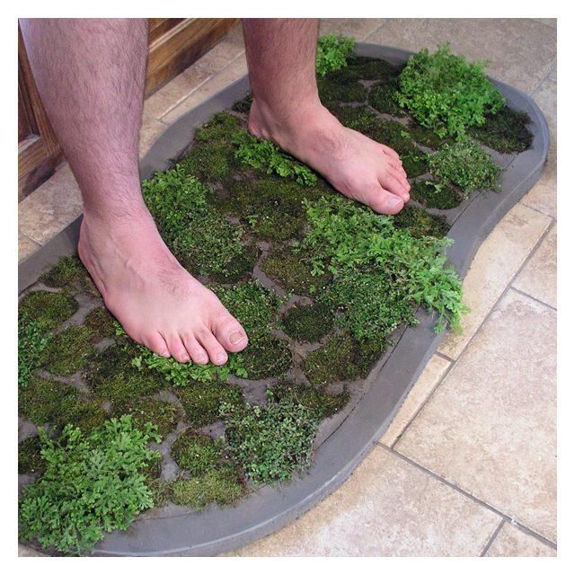 Diy Moss Make A Shower Mat Pinterest Diy Moss Make A Shower Mat