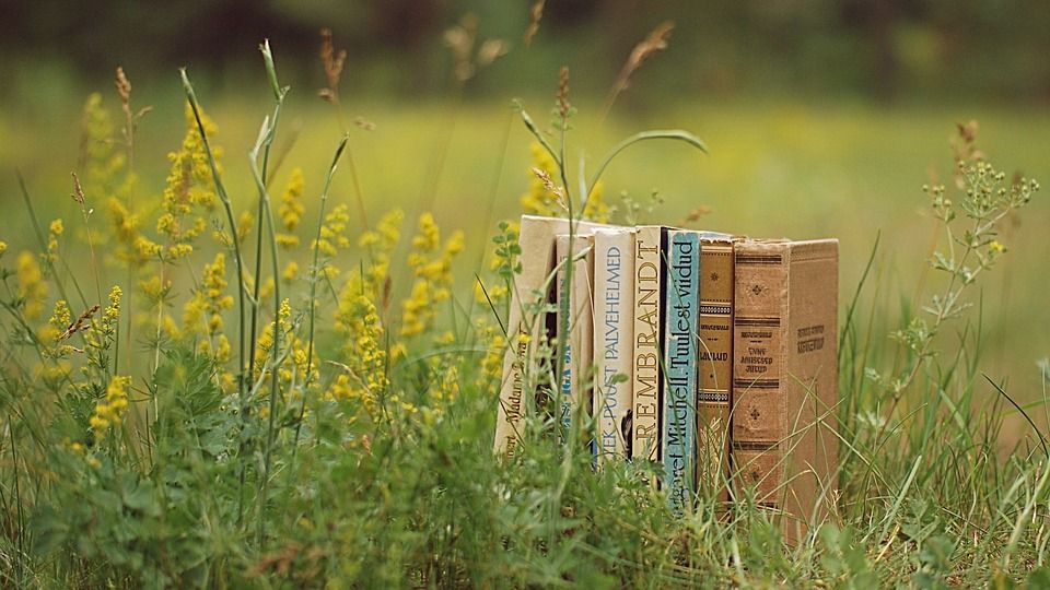 Books for advanced higher english dissertation