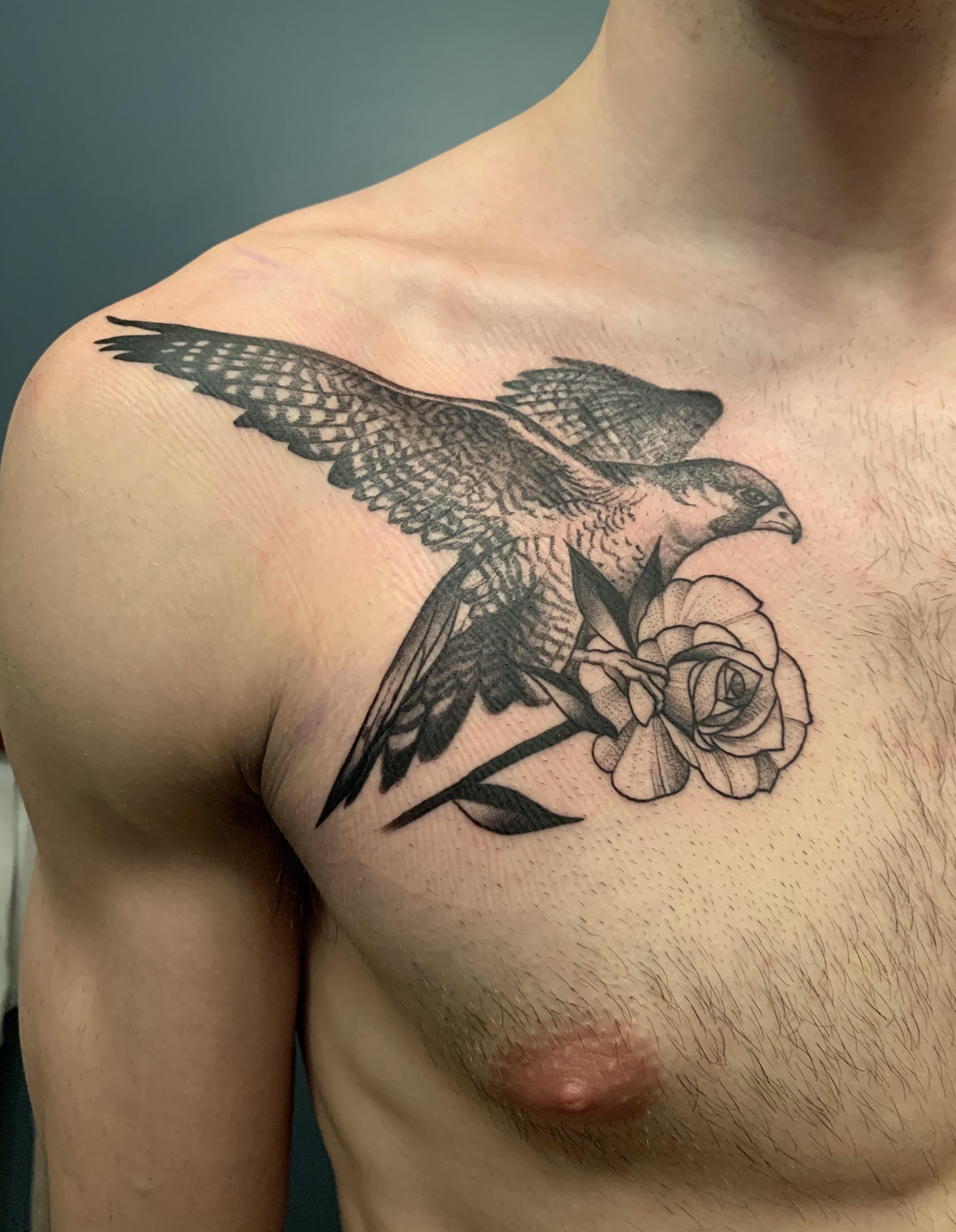 Awesome Guys Falcon Neo Traditional Chest Tattoo Jpg 600 600 Pixels Falcon Tattoo Traditional Chest Tattoo Tattoo Designs Men