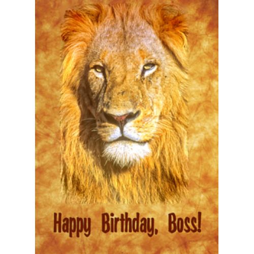 happy birthday, boss lion wish from the quick to see selective f50ab96d6a843357c7caf7009c2d0c99 happy birthday, boss lion wish from the quick to see selective