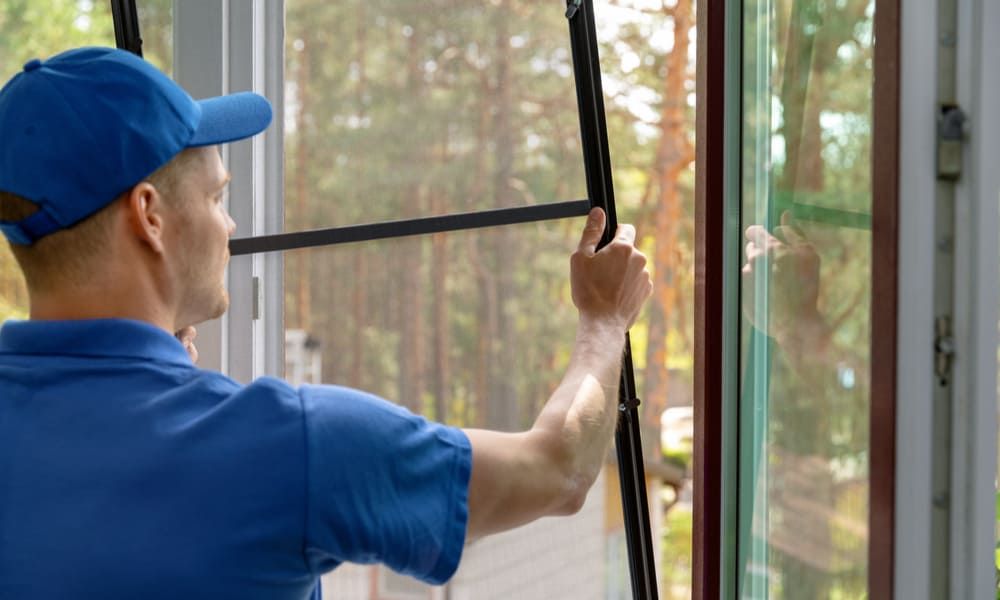 remove windows remove windows