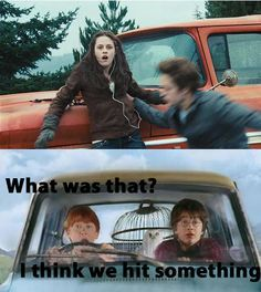 The Forgotten Twin (Harry Potter/ Twilight Crossover) - Unknown's POV - Wattpad Twilight Harry Potter, Twilight Funny, Twilight Film, Theme Harry Potter, Harry Potter Jokes, Harry Potter Fandom, Harry Potter Crossover, Edward Cullen, Memes Funny Faces