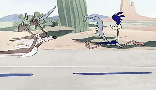 Resultado de imagen para correcaminos gif