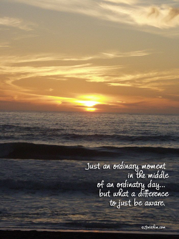 mindful moments mindful moments