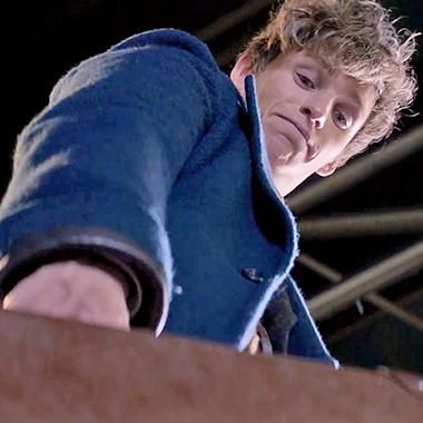 eddie redmayne fantastic beasts and where to find them niffler eddie redmayne fantastic beasts and where to find them niffler