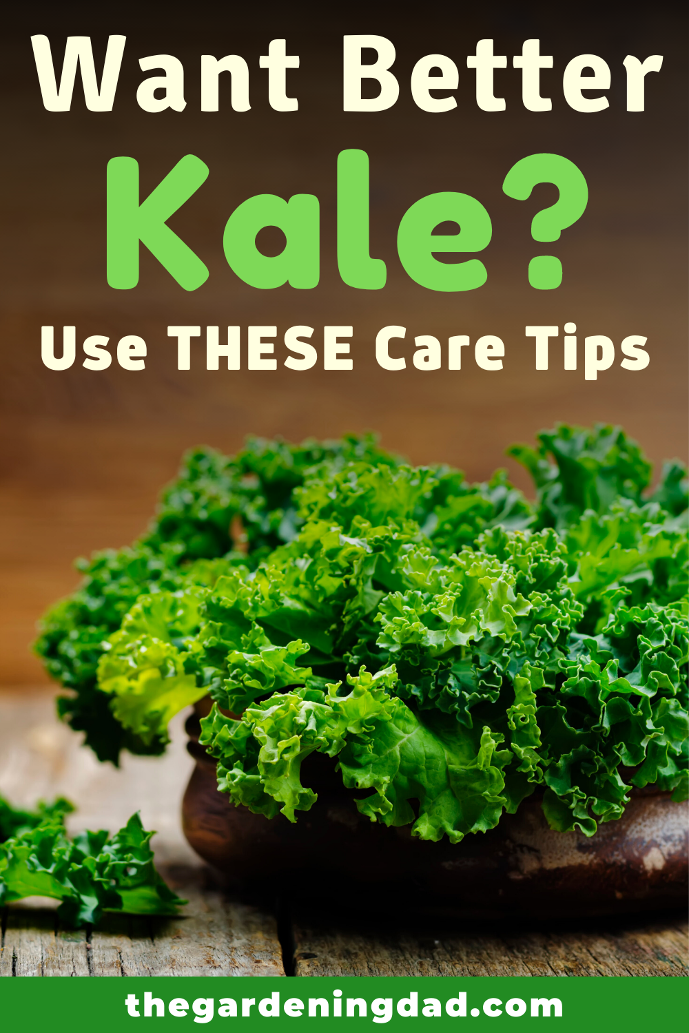 How to Grow Kale from Seed (6 Quick Tips) in 2020 ... How to Grow Kale from Seed (6 Quick Tips) in 2020 ... Companion Planting Kale