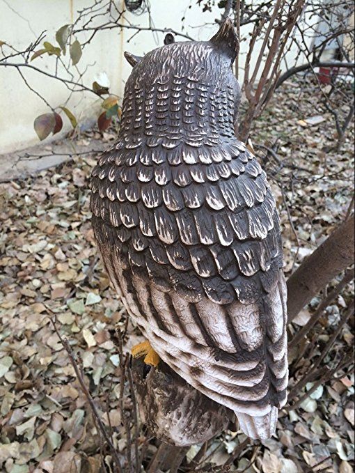 Zilin Plastic Owl Decoy Bird Deter Zilin Plastic Owl Decoy Bird Deter Scarer Patio Lawn Garden