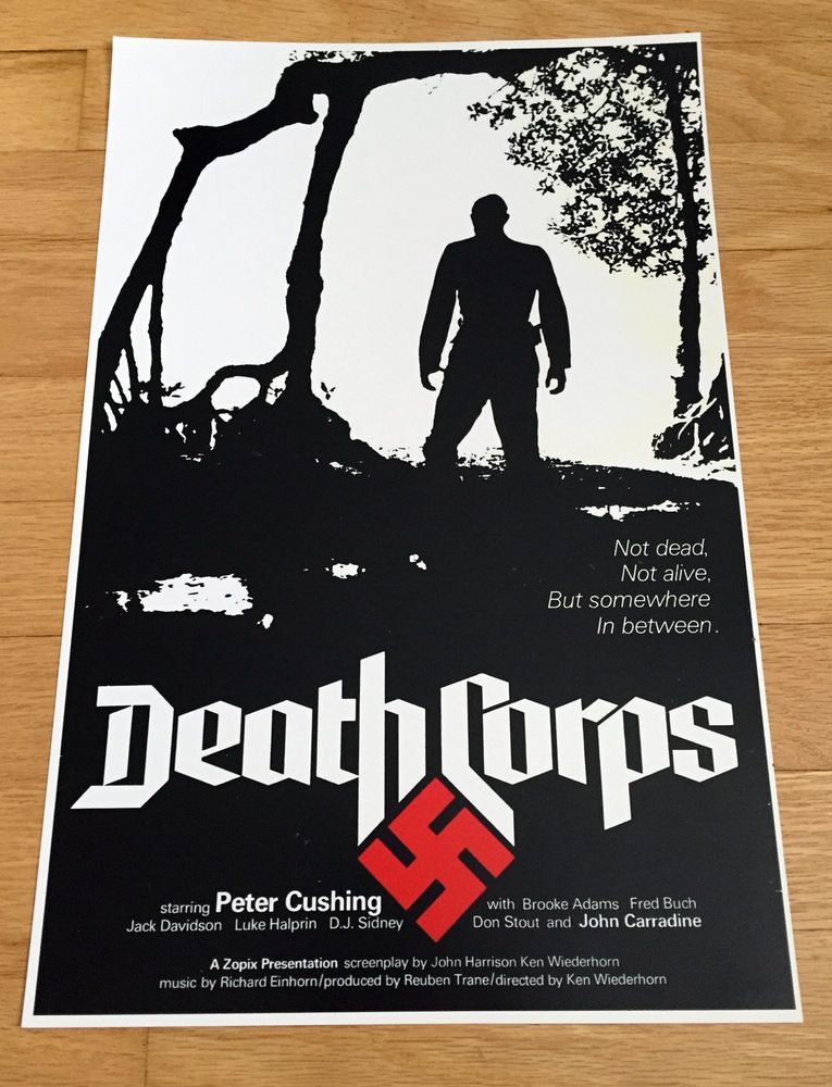 shockwaves 1977 video dead shock waves 1977 golden age shock flyer video