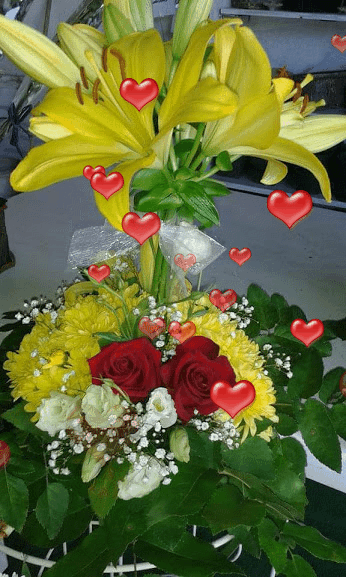 14 Idees De Orchidee Gifs Animes Orchidee Gifs Gif Anime 14 Idees De Orchidee Gifs Animes Orchidee Gifs Gif Anime