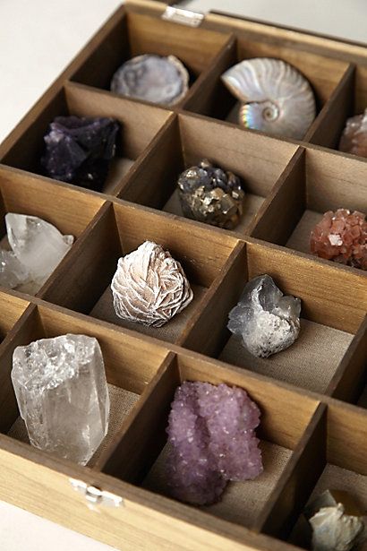 Collection Minerals And Gemstones, Rocks And Minerals, Rock Collection, Crystal Collection, Collection Displays, Shell Collection, Crystal Magic, Crystal Gems, Healing Crystals