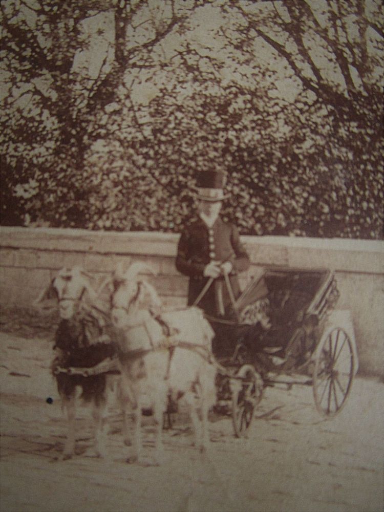 CHATEAU DE SAINT-CLOUD ATTELAGE DU PRINCE IMPERIAL Photo Stereo Diorama Tissue | Prince, Saint cloud, Impériale