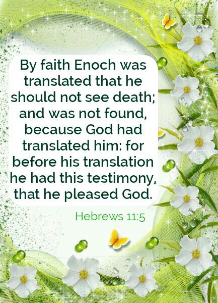Image result for Hebrews 11:5 kjv