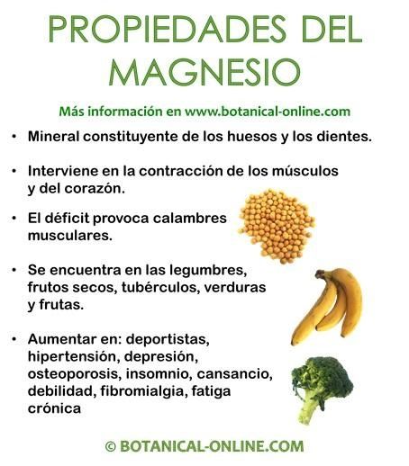 que remedio natural puedo tomar para la osteoporosis