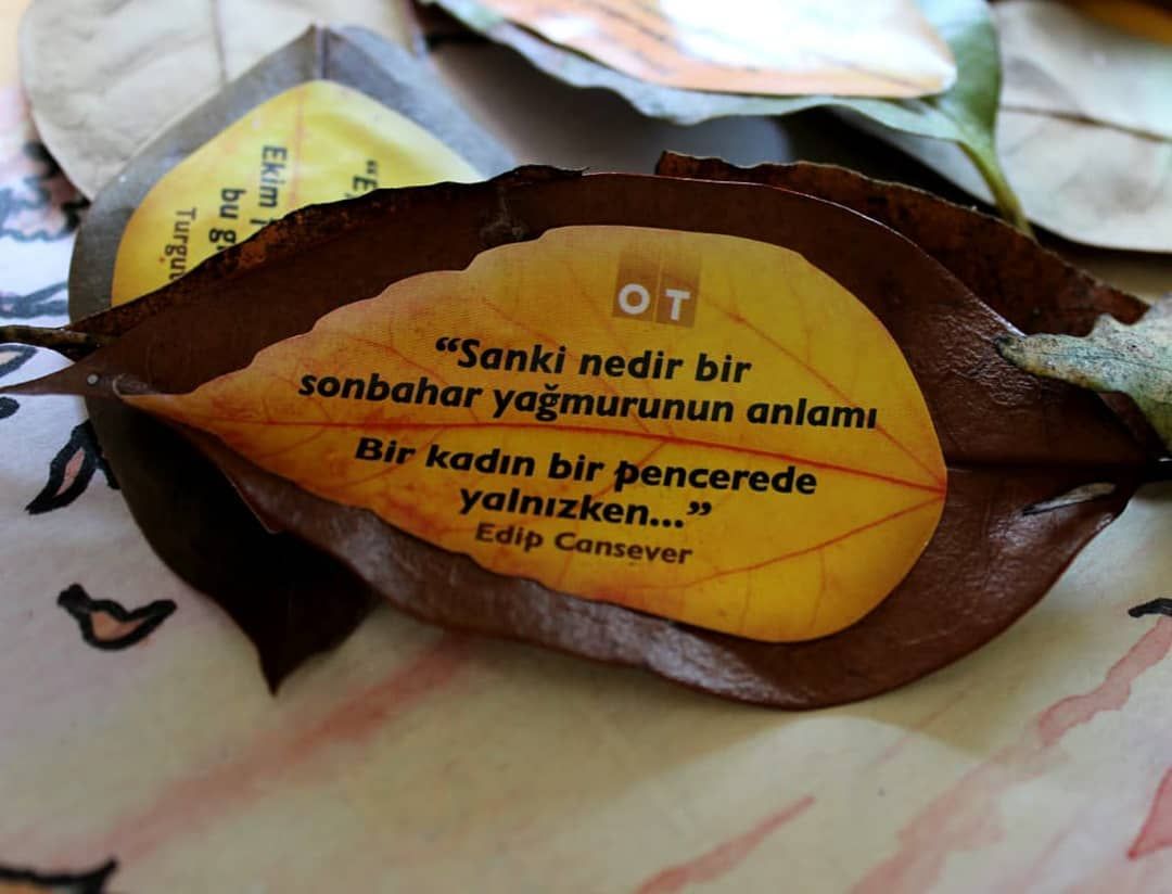 Sanki Nedir Bir Sonbahar Yagmurunun Anlami Bir Kadin Bir Pencerede Yalnizken Edip Cansever Kaynak Instagram Dergiot Sozler Anlamlisozler Guze