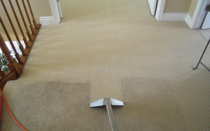 7 Daily Habits to Keep Your Carpet Always Tidy Carpet Cleaning Equipment, Commercial Carpet Cleaning, Deep Carpet Cleaning, Carpet Cleaning Company, Carpet Cleaning Service, Professional Carpet Cleaning, Cleaning Services, Cleaning Tips, Steam Cleaning