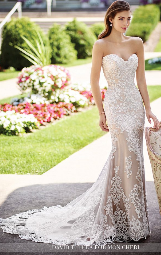 Martin Thornburg Wedding Dresses Bridal Gowns David Tutera Wedding Dresses Mon Cheri Wedding Dresses Trendy Wedding Dresses