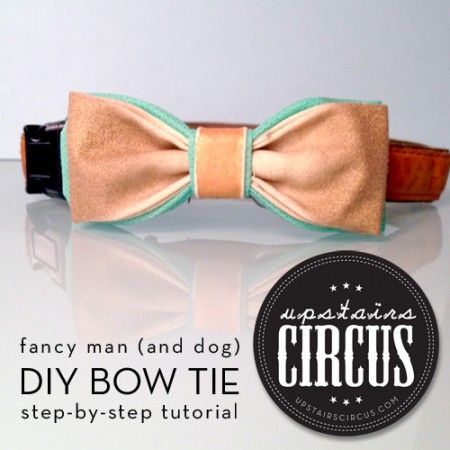 Diy Tutorial Fancy Man And Dog Bow Tie Ties Pinterest Diy Tutorial Fancy Man And Dog Bow Tie