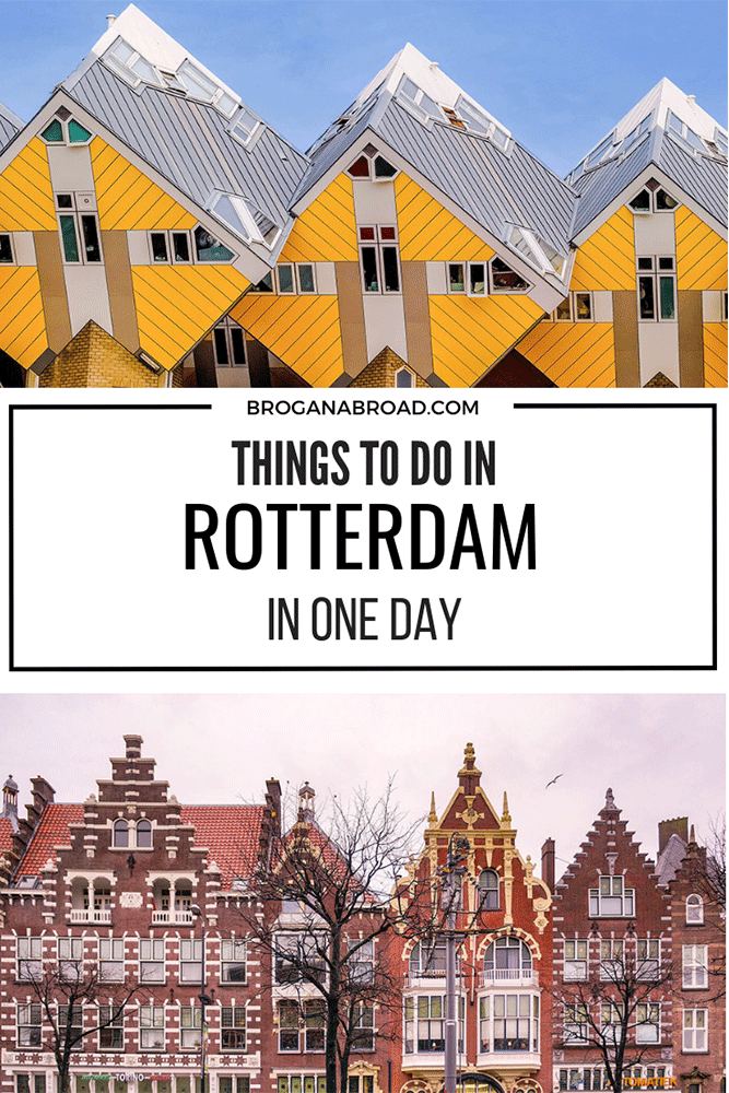 Rotterdam In One Day – The Best Itinerary If You Only Have One Day in Rotterdam - Brogan Abroad