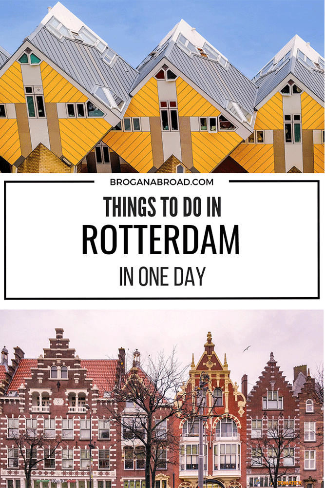 Rotterdam In One Day – The Best Itinerary If You Only Have One Day in Rotterdam