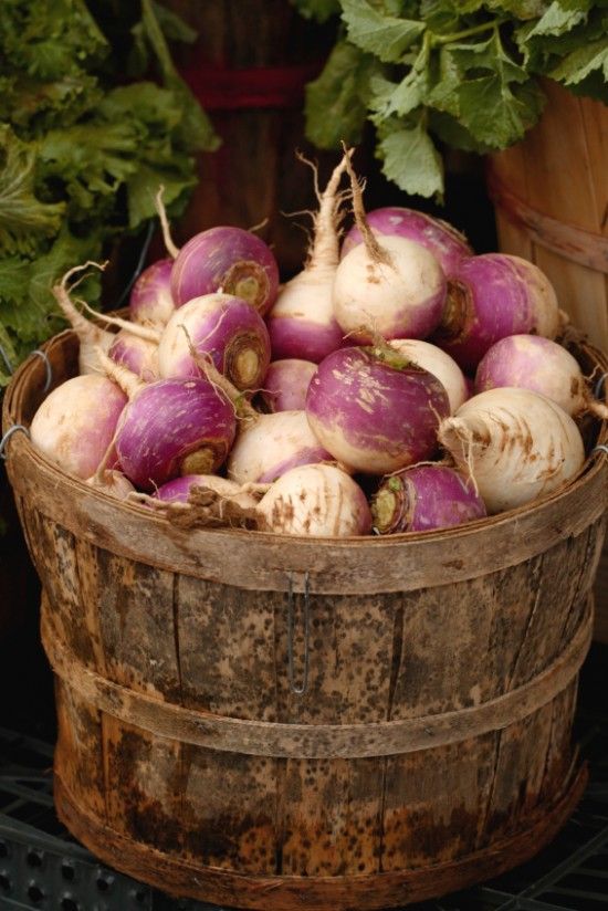 Sous Vide Turnips Recipe by Recipe Sous Vide Turnips Recipe by Recipe