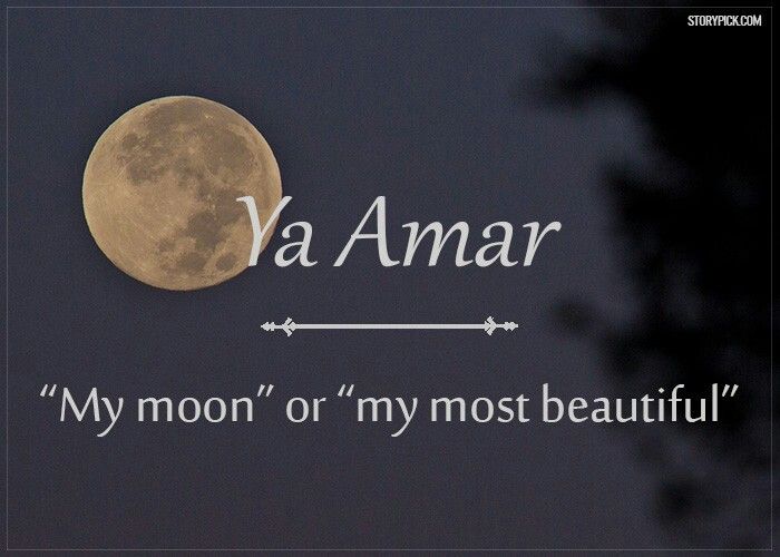Beautiful Arabic Words Thatll Make You Fall In Love With The Language Beautiful Arabic Words Thatll Make You Fall In Love With The Language
