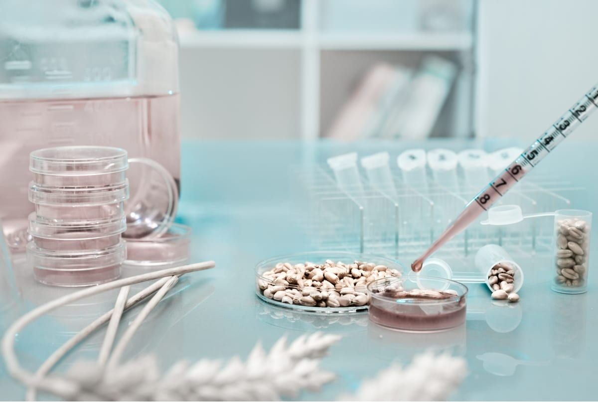 Phd thesis biotechnology