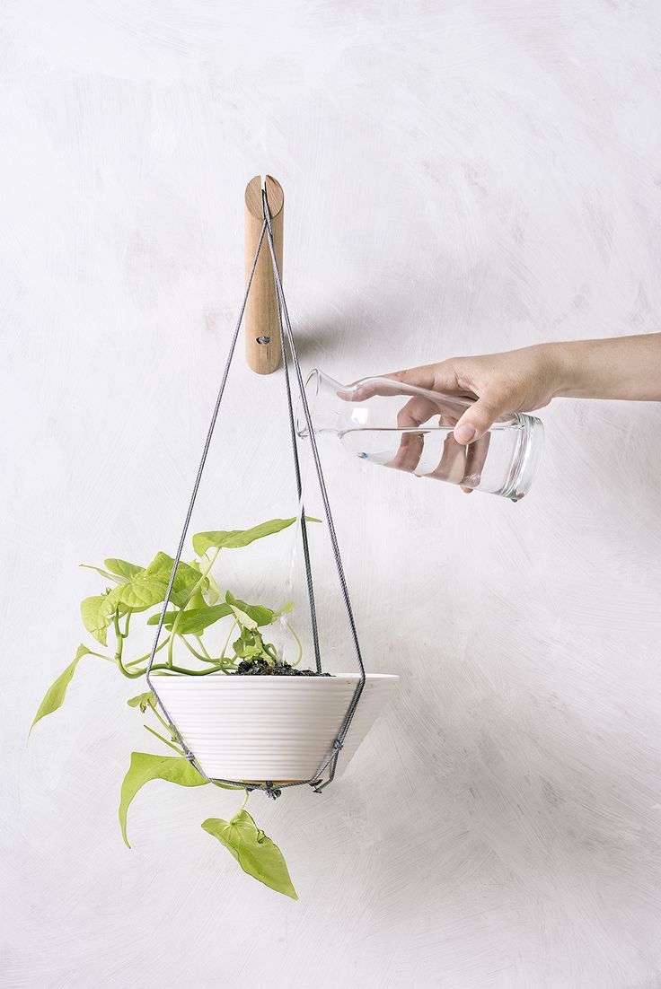 Hanging wall planter by Loop means you can hang your plants from the wall, not the ceiling Wall Plant Hanger, Diy Macrame Plant Hanger, Plant Wall, Plant Decor, Hanger Decor, Hanger Diy, Hanging Indoor Plants, Hanging Wall Planters, Indoor Herbs