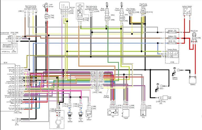 2005 Harley Davidson Softail Wiring Diagram