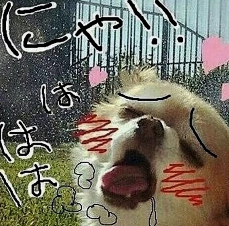 anime hentai dog blushing aesthetic meme dank memes and shit f6150bb88fd6a8cf4b5730f2dade3fba anime hentai dog blushing aesthetic meme dank memes and shit