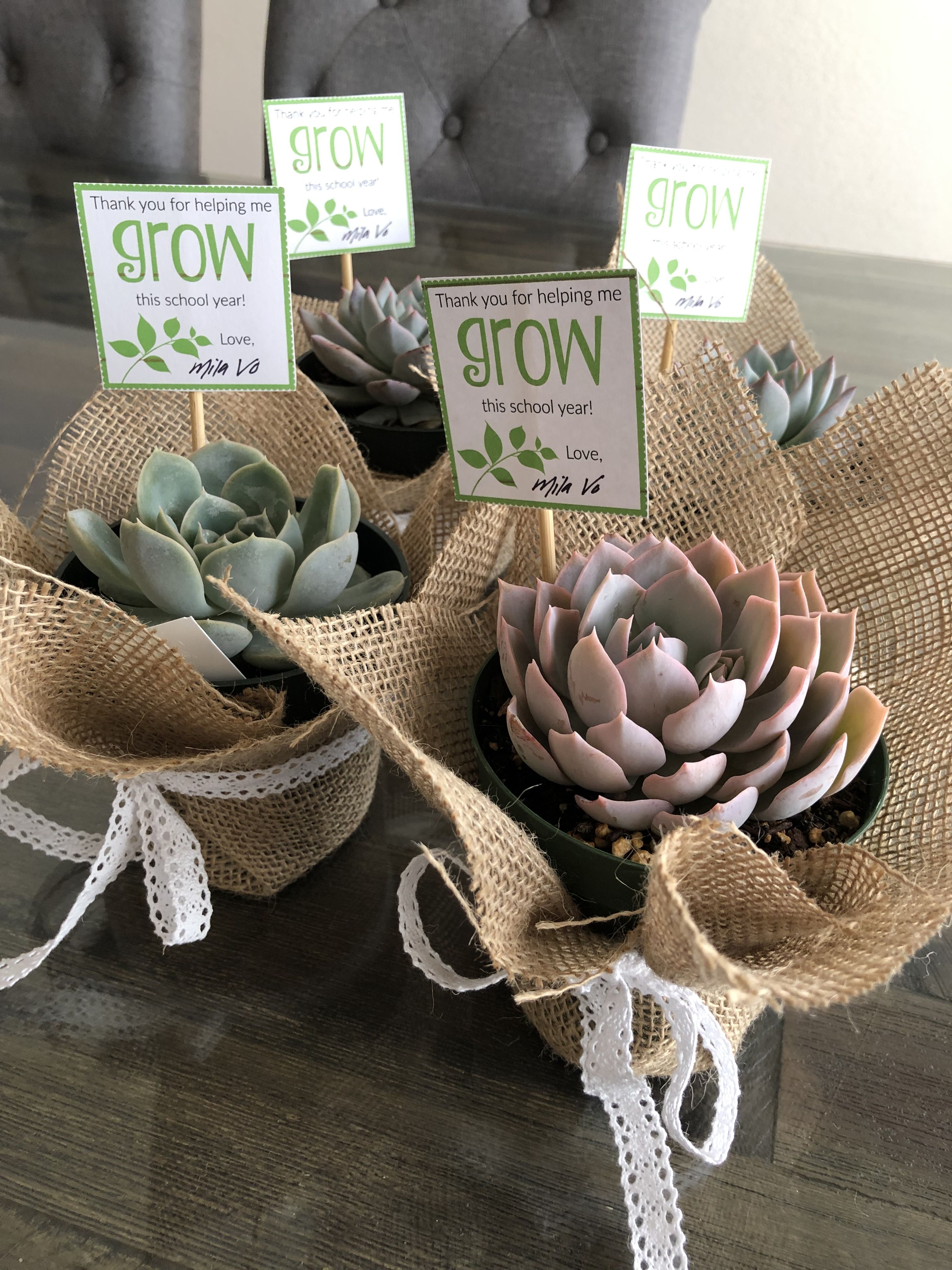 Thank you for helping me grow succulent teacher appreciation gift Thank you for helping me grow succulent teacher appreciation gift