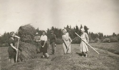 Dejta gamla fotografier video familjehistoria