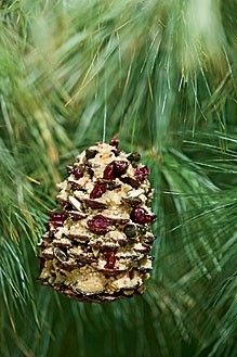 Pinecone Bird Feeder Pine Cone Bird Feeder Big Garden Birdwatch Autumn Garden