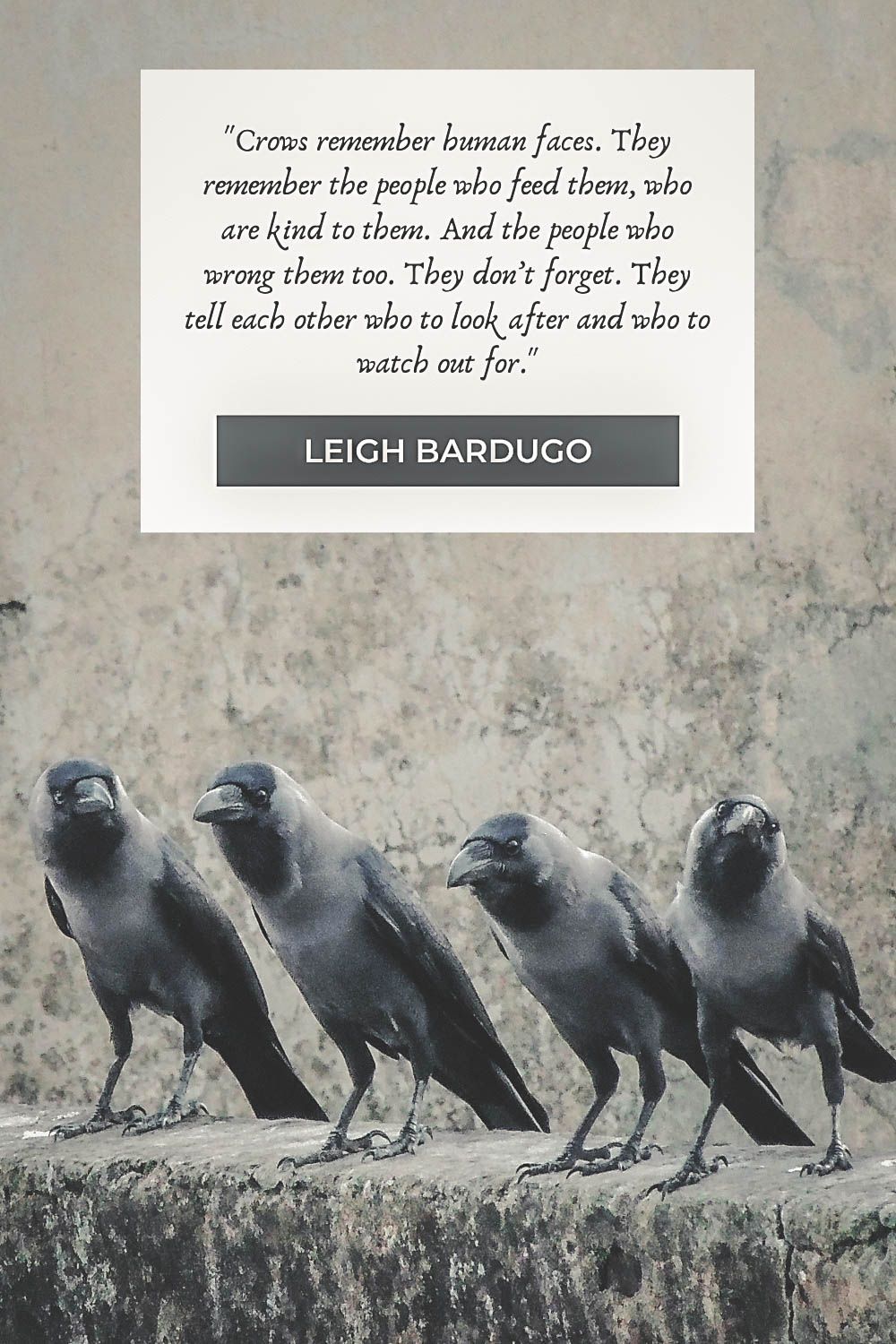 40 Six Of Crows Quotes From The Grishaverse Six of crows Crow books