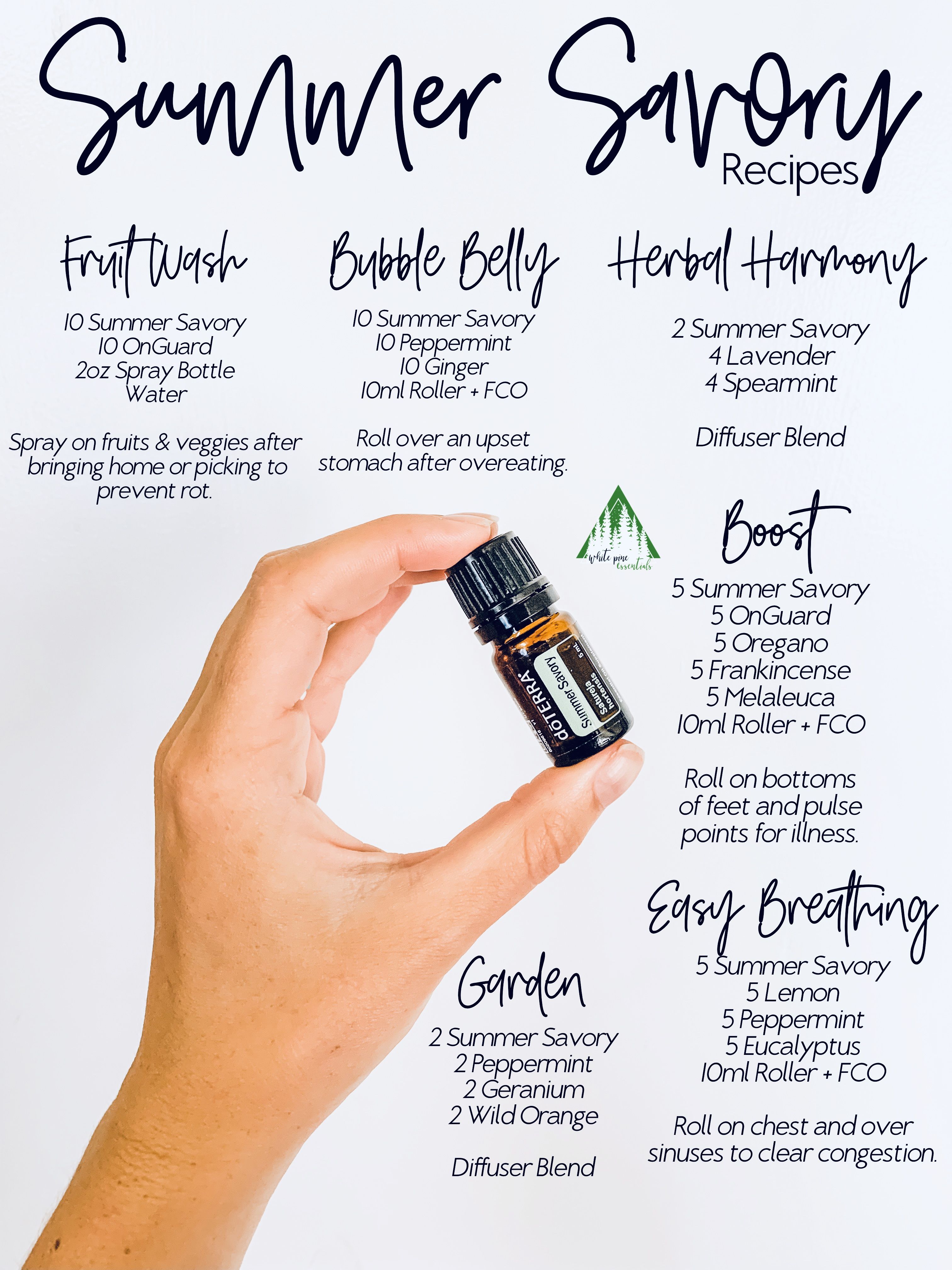Summer Savory Essential Oil Uses Essential Oil Diffuser Blends how-to-grow-and-use-summer-savory-gardener-s-path-summer-savory