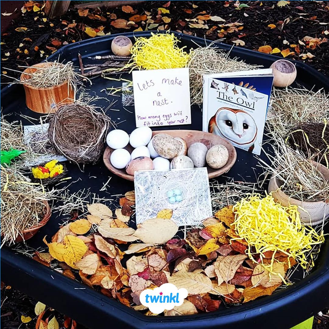 Owl Tuff Tray and Small World Area. #fireworkseyfs