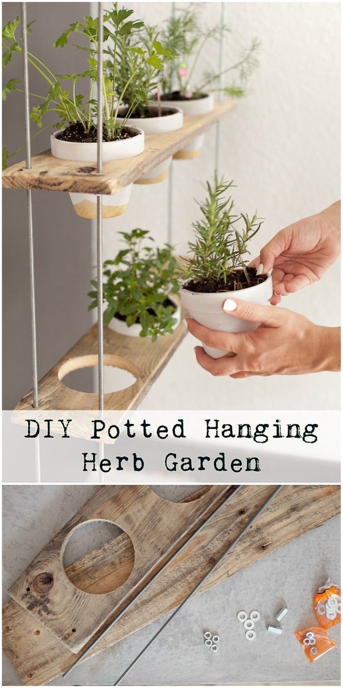 DIY Topf hängenden Kräutergarten #indoorherb #herbgarden #hangingplanters #fü...
