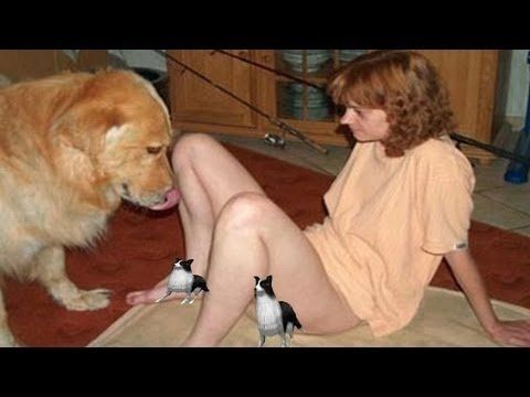 Funny Dog Mating Dog Mate With Girl Funny Animals Mating Compilati Funny Dog Mating Dog Mate With Girl Funny Animals Mating Compilati