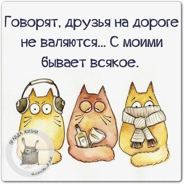 Прикольные открытки афоризмы