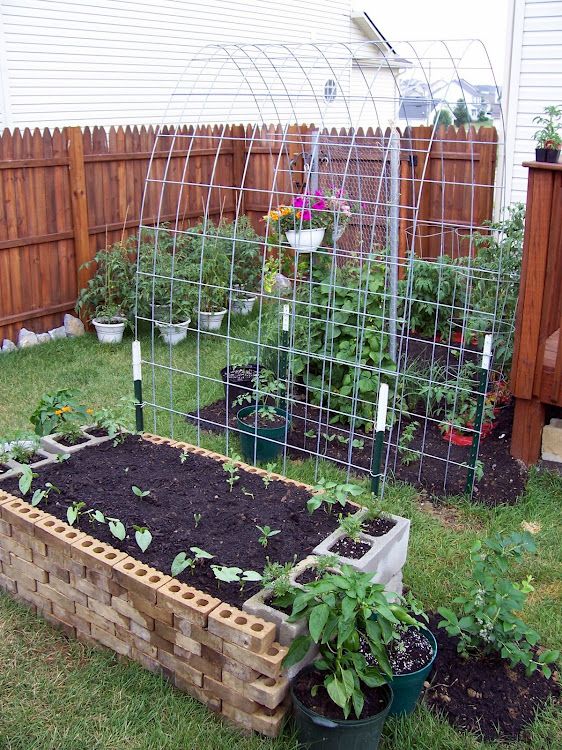 10 Diy Vertical Garden Ideas Flower Pinterest Garden Trellis For Climbing Plants Bricks That Can Act As Pots