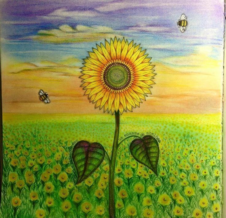 Download secret garden coloring sunflower - Google keresés What ...