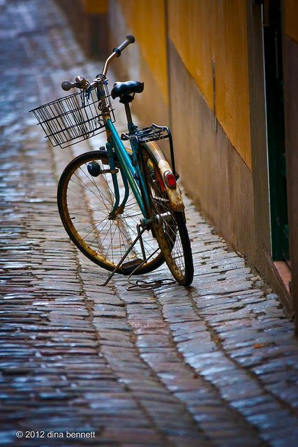 Stockholm Bicycle Photography Bike Photography Bike Riding Photography