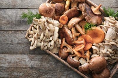 colazione sana per il cancro alla prostata colazione sana per il cancro alla prostata